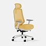 Branch Mesh Fabric Ergonomic Chair Pro Headrest, Spark/White (13-45-00-30-V2)~#|#~9114150F-9E32-4C02-BB4753EBC3C0B530_sc7
