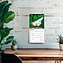 2026 BrownTrout Chickens 7" x 7" Monthly Wall Calendar (9798330702879)~#|#~916466C4-62AA-4DAE-BE79AE3D97D3A336_sc7