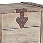 Household Essentials Antiqued Decorative Trunk (HH9539-1)~#|#~92312E58-9499-43CC-9338FD86390E6BD2_sc7