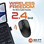 Delton S15 Wireless Ambidextrous Optical Mouse, Black (DMS15-WB)~#|#~92656463-93F7-4124-8E27423ED3C6DC2D_sc7