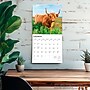 2026 BrownTrout Highland Cows 12" x 12" Monthly Wall Calendar (9798330703630)~#|#~933DF3F4-E59D-4596-96E40F2E4B8F2DCE_sc7