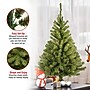 National Tree Company 3' Kincaid Spruce Artificial Christmas Tree (KCDR-30-1)~#|#~93E7D5BA-F637-4E51-876AF693AE3F9FD6_sc7