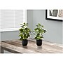 Monarch Specialties Inc. Ficus Elastica in Pot, 2/Pack (I 9585)~#|#~943632FF-22AE-4F98-BF0DF3E6B04DDD30_sc7