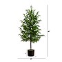Nearly Natural Artificial Norfolk Pine Tree, 4' (T4708)~#|#~946FB2C1-1CE7-462F-AF3C2CBA2DF95070_sc7