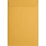 JAM Paper Catalog Envelope 6" x 9", Brown Kraft, 50/Pack (1693-50)~#|#~949F0CCA-846D-4E70-BB912CF4B51E8B26_sc7