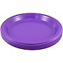 JAM Paper 9" Plastic Plates, Purple, 80/Pack (9255320689g)~#|#~94B02E5E-E1E7-4A43-BF6DAD6F506A3E2E_sc7