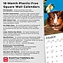 2026 BrownTrout Guinea Pigs 12" x 12" Monthly Wall Calendar (9798330703579)~#|#~94F2E3B5-BD54-40EF-B7EC5862CAAB8C24_sc7