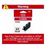 Canon 65 GY Gray Standard Yield Ink Cartridge (4219C002)~#|#~95604D6E-122B-4384-9D943975F75115EF_sc7