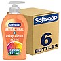 Softsoap Antibacterial Liquid Hand Soap, Crisp Clean Scent, 6/Carton (US03562)~#|#~95795F45-454B-4FC2-A6F8820E7CB700DE_sc7