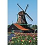 S&S 24-Piece Thera Jigsaw Foam Puzzle, 4 Puzzles/Set (19211)~#|#~95A0434A-29AB-49AC-99362E7D699DB6F7_sc7