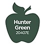 Apple Barrel Acrylic Paint Matte, 8oz., Hunter Green, 6/Pack (APP20407E-6)~#|#~95A9FFBF-9406-41EA-B6855BB59815CE5F_sc7