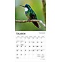 2026 BrownTrout Hummingbirds 7" x 7" Monthly Wall Calendar (9798330703791)~#|#~9660D00C-4A70-4CC3-89659D6FE424E28F_sc7