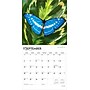 2026 BrownTrout Butterflies 12" x 12" Monthly Wall Calendar (9798330702695)~#|#~96830470-E7DD-4409-AB6B3A3CC521CFBA_sc7