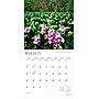 2026 BrownTrout Florida Nature 12" x 12" Monthly Wall Calendar (9798330703265)~#|#~96BDC72F-2BBF-4410-87185E34510B05DB_sc7