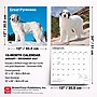 2027 BrownTrout Great Pyrenees 12" x 12" Monthly Wall Calendar (9798330712496)~#|#~97778611-11A1-4A5F-94AB550F2133EBB2_sc7