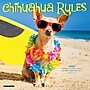 2027 Willow Creek Chihuahua Rules 7" x 7" Monthly Wall Calendar (63958)~#|#~97781A13-1496-4371-A7434692DAD65F04_sc7