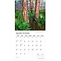 2026 Plato America's National Parks 12" x 12" Monthly Wall Calendar (9798330706617)~#|#~9791B1AB-0485-4F20-BF3C67C69995CF50_sc7