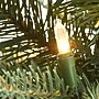 National Tree Company 2 ' Happy Hill Pine Tree with LED Lights (PEHP64-306L-20)~#|#~97C089BC-3637-49A2-8C4D3E4B43AAB8F7_sc7