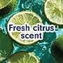 Softsoap Antibacterial Liquid Hand Soap Refill, Fresh Citrus Scent, 50 oz.(61048193)~#|#~97ED3920-53BF-4E8F-B489D07AEC7B0E64_sc7