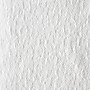 Brawny Professional D300 Cellulose Cleaning Wipers, 16" x 9.25", White, 110 Wipers/Box (GPC20075)~#|#~97F0A8B3-8D4C-4DAE-A81B4A80FA8F41BF_sc7