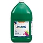 Prang Ready-to-Use Washable Tempera Paint, Green, 128 oz. (22804)~#|#~9827484B-7449-422C-8DC8C46D2574496B_sc7