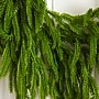 Nearly Natural 6 ft. Pre-Lit Pine Garland, Green (W1393)~#|#~98D710F7-8953-4F56-B755F4AB928E1BD7_sc7