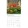 2026 BrownTrout Iowa Wild & Scenic 12" x 12" Monthly Wall Calendar (9798330703920)~#|#~9A262F23-4A58-43B4-A763403627299C9A_sc7