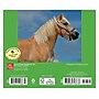 2026 BrownTrout Horse Lovers 6.06" x 5.13" Day-to-Day Calendar (9798330703678)~#|#~9A693454-E9E4-44B5-906651B998CA0642_sc7