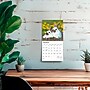 2026 BrownTrout Honey Bunny 7" x 7" Monthly Wall Calendar (9798330703647)~#|#~9A9FFF28-D56D-4F86-974EEB1A8BAE2B3B_sc7
