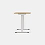 Branch Duo 48"W Electric Adjustable Standing Desk, Woodgrain/White (10-10-05-10)~#|#~9B1D98A9-CA44-454C-850A9C9FE53EB71E_sc7