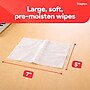 Staples Screen Cleaning Wipes – 100‑Count Tub for Monitors, Laptops, Phones & Electronics~#|#~9B513495-762D-41CB-A068999E86F0009C_sc7