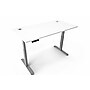 Boss Office Products 60"W Electric Rectangular Adjustable Standing Desk, White (SGSD034WT)~#|#~9B58A5B8-88A3-46AA-99BC049726CDE7E8_sc7
