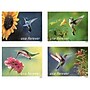 USPS Garden Delights Forever 20 Postage Stamps (FOR-GARDENDE-20)~#|#~9B720C4B-8E3D-49A0-AC896806D56F7600_sc7