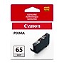 Canon 65 LGY Light Gray Standard Yield Ink Cartridge (4222C002)~#|#~9C0BC98C-02F6-475C-90340D3881CD3C4D_sc7