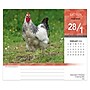 2026 BrownTrout Chickens 6.06" x 5.13" Day-to-Day Calendar (9798330702855)~#|#~9C66466E-CA34-43E1-9392018EFCE942F1_sc7