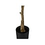 Monarch Specialties Inc. Rubber Tree in Pot (I 9513)~#|#~9CAC2876-A41F-46D9-9D3FC3E7952EFE81_sc7