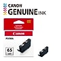 Canon 65 LGY Light Gray Standard Yield Ink Cartridge (4222C002)~#|#~9D9356E6-2D56-415D-A6663BE936A4A3CF_sc7
