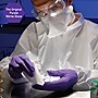 Kimberly-Clark Powder Free Nitrile Exam Gloves, Small, Purple, 100/Box (55081)~#|#~9D9B7ED8-056D-46E6-B1D5A9448812138E_sc7