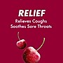 Halls Mentho-Lyptus Cough & Sore Throat Lozenges, Cherry, 9 Pieces/Pack, 20 Packs/Box (AMC62476)~#|#~9EAC6075-8A12-40FA-9F0833DB54A469F4_sc7