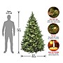 National Tree Company 6.5' Pre-Lit Carolina Pine Artificial Christmas Tree (CAP3-306-65)~#|#~9F3E0A8E-E7C6-49AF-BAE568678A3383F4_sc7