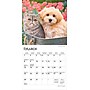 2026 BrownTrout Kittens & Puppies 7" x 7" Monthly Wall Calendar (9798330704095)~#|#~9F5E91E6-3300-407B-9D26C68D54D52D59_sc7