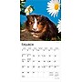 2026 BrownTrout Guinea Pigs 7" x 7" Monthly Wall Calendar (9798330703562)~#|#~9F926355-45A9-41F6-AFDCE1D4176CFDBA_sc7