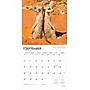 2026 BrownTrout Meerkats 12" x 12" Monthly Wall Calendar (9798330704545)~#|#~9FA15948-1839-4870-B6EECF1715A93E62_sc7