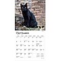 2026 BrownTrout Black Cats 7" x 7" Monthly Wall Calendar (9798330702473)~#|#~9FAC8EEE-3DC1-41E2-AF8006677A902D15_sc7