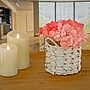 National Tree Company 10" Coral Hydrangea Bouquet in White Basket (MT81-1326GCOR-1)~#|#~A0CDE973-F8DB-418A-BE74EBBD672B5DB5_sc7