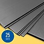 Flipside Premium Project Sheet, Black, 25/Pack (32331-25)~#|#~A10CDF2C-BAF3-46A2-A6541B77DB078161_sc7