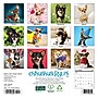 2027 Willow Creek Chihuahua Rules 7" x 7" Monthly Wall Calendar (63958)~#|#~A11B3936-3C49-4DC3-B346D4FB39F65282_sc7