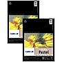 Canson Artist Series 9" x 12" Mi-Teintes Pastel Pad, 24 Sheets/Book, 2/Bundle (MCX100510899-2)~#|#~A1B9C001-A6F6-4A77-ABFBA0CFBC499BC6_sc7