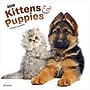 2026 Plato Kittens & Puppies 12" x 12" Monthly Wall Calendar (9798330706815)~#|#~A1E14A8D-1931-4E6B-A8DFA5B4328347E9_sc7