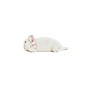 Warmies Cozy Plush Axolotl, White/Pink (CPJ-AXO-1)~#|#~A23147D3-DF4E-4C08-942EE342171FED42_sc7